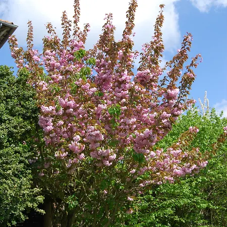 Hotel Le Clos Verlaine Fampoux