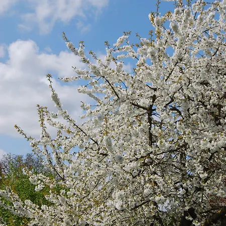 Hotel Le Clos Verlaine 3*